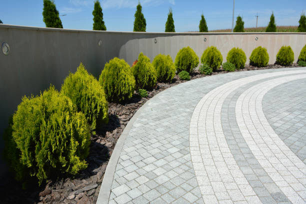 Driveway Repair Near Me in Bellflower, CA